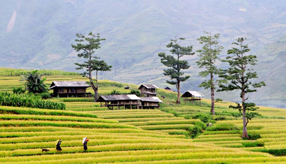 Cẩm nang các món ăn dân tộc Thái trước khi đi du lịch Tây Bắc
