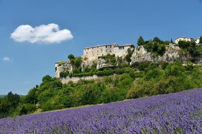 Tại sao giáo hoàng chuyển tới Avignon vào thế kỉ XIV