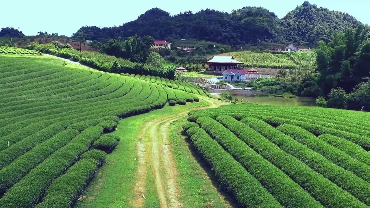 Trải nghiệm Mộc Châu - Sơn La 2018