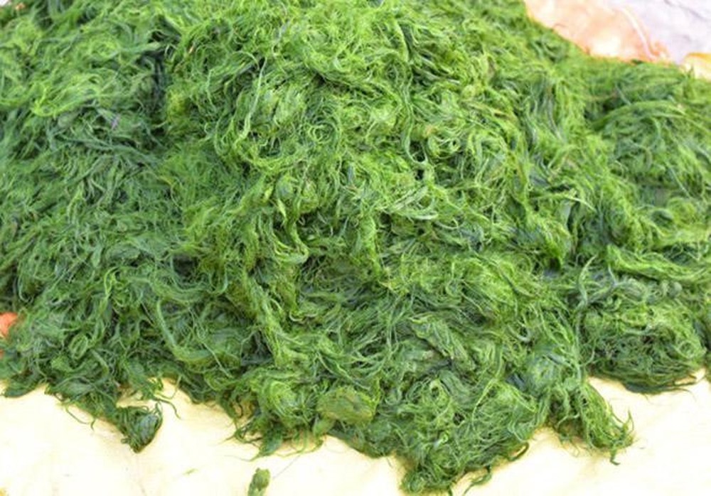 Những đặc sản độc đáo mà bạn nhất định phải thử khi đi du lịch Tây Bắc