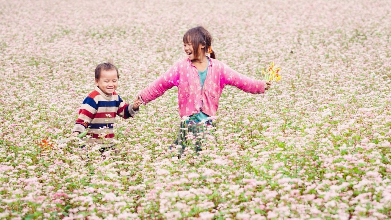 Cả trời thương nhớ cùng mùa hoa tam giác mạch ở Hà Giang